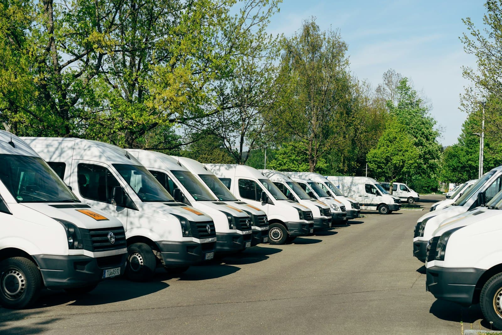 Flera vita servicebilar uppställda på rad